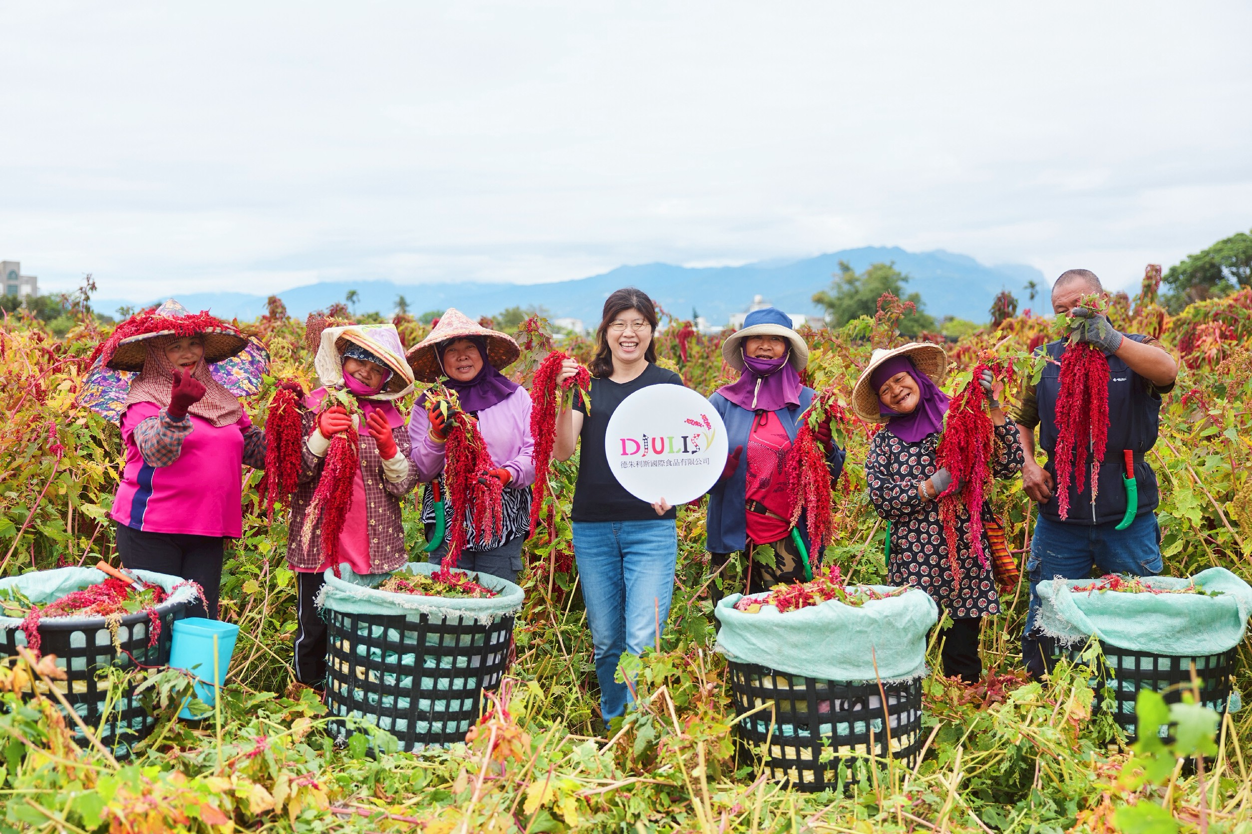 德朱利斯國際食品有限公司