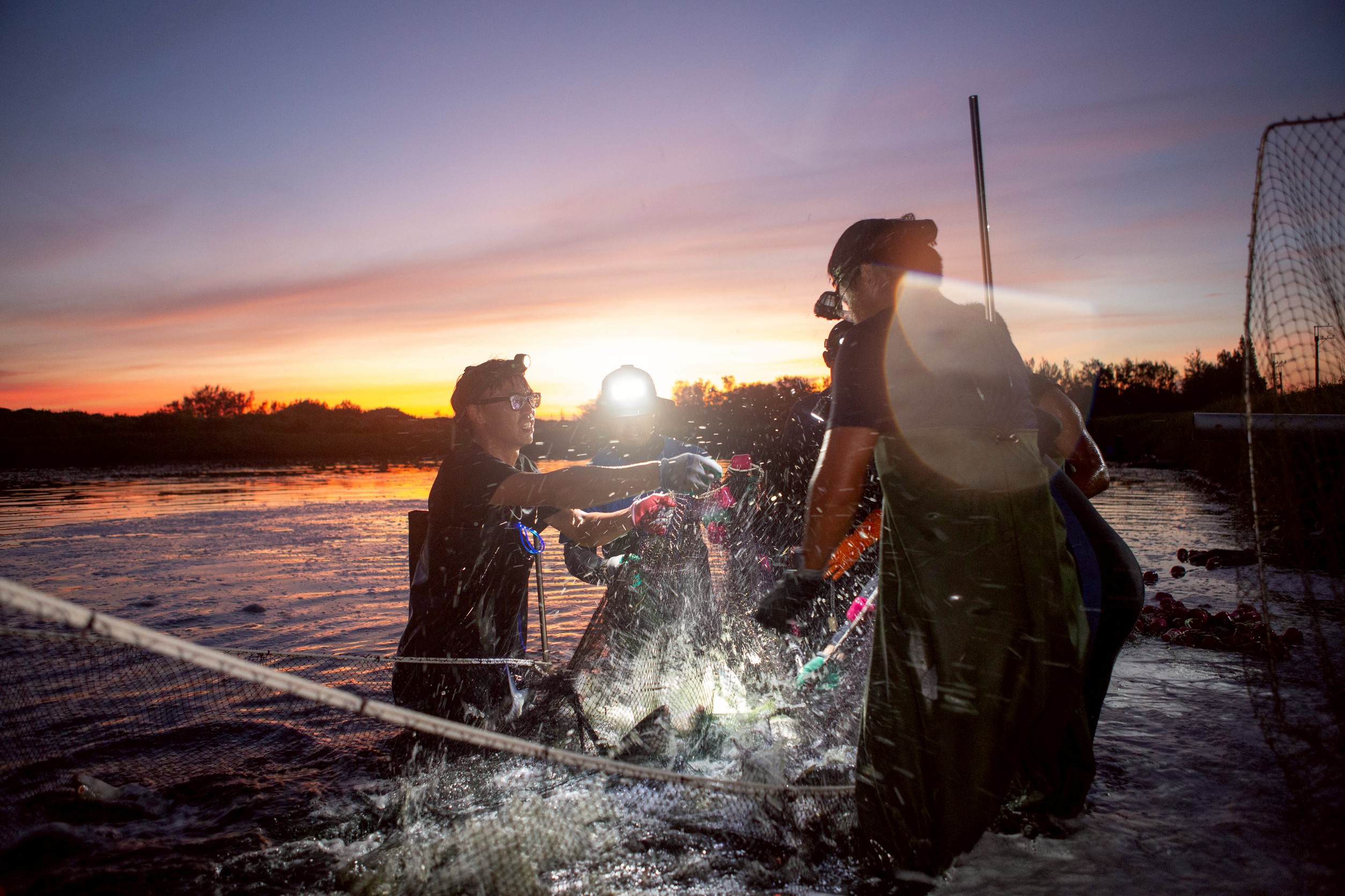 亞瑟邁影像工作室