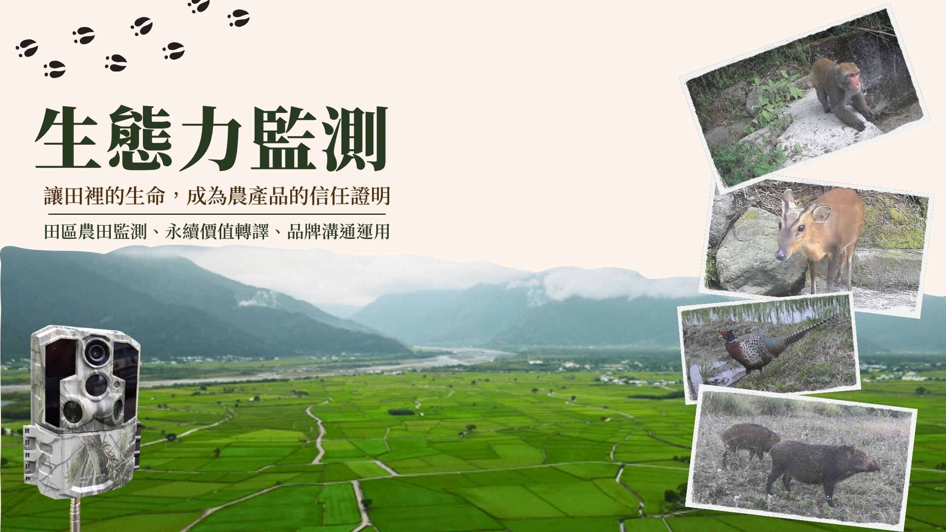 熊良心有限公司